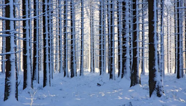 دانلود والپیپر های با کیفیت سری چهاردهم    Beautiful Wallpapers