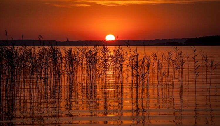 سری یازدهم والپیپرهای متنوع با کیفیت