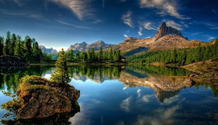 سری یازدهم والپیپرهای متنوع با کیفیت