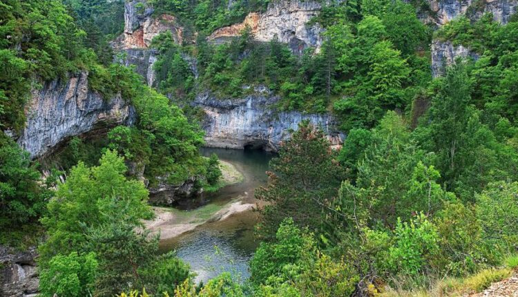 سری یازدهم والپیپرهای متنوع با کیفیت