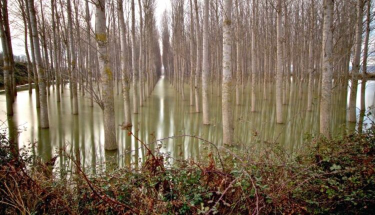 سری یازدهم والپیپرهای متنوع با کیفیت