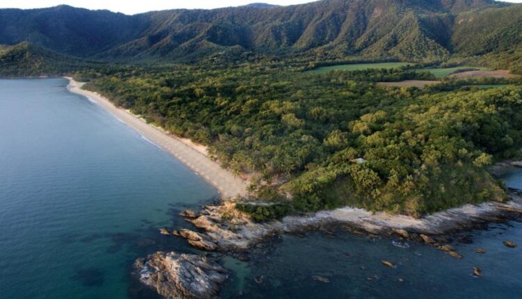 سری یازدهم والپیپرهای متنوع با کیفیت