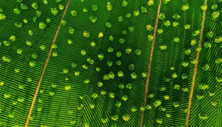 سری سیزدهم تصویر زمینه با کیفیت و زیبا   Beautiful Mixed Wallpapers