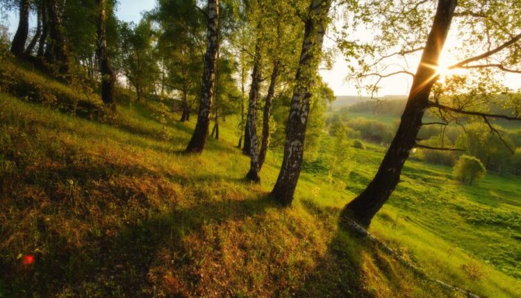 سری سیزدهم تصویر زمینه با کیفیت و زیبا   Beautiful Mixed Wallpapers