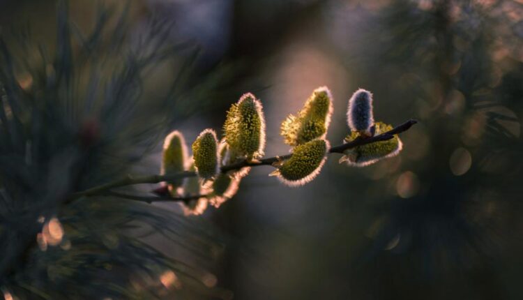 سری سیزدهم تصویر زمینه با کیفیت و زیبا   Beautiful Mixed Wallpapers