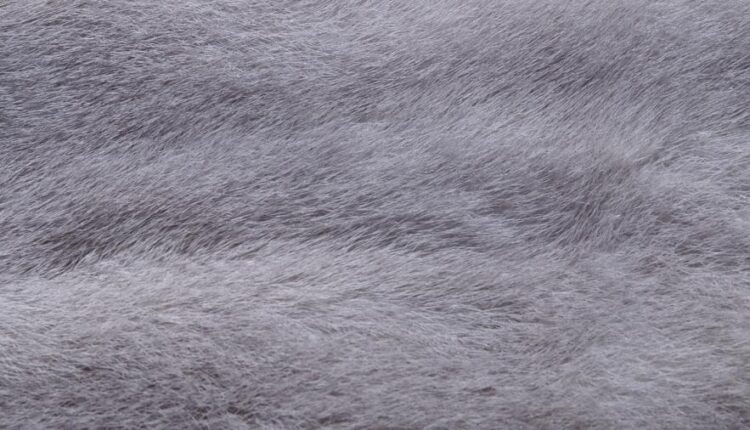 سری سیزدهم تصویر زمینه با کیفیت و زیبا   Beautiful Mixed Wallpapers