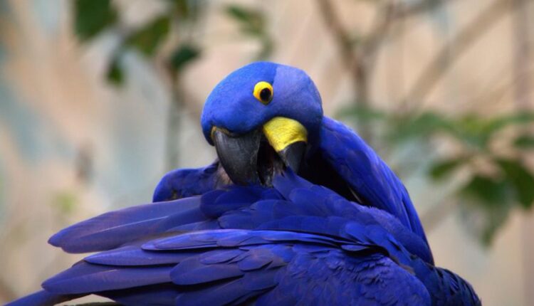 سری سیزدهم تصویر زمینه با کیفیت و زیبا   Beautiful Mixed Wallpapers