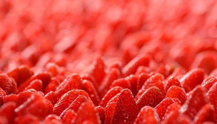 تصویر زمینه