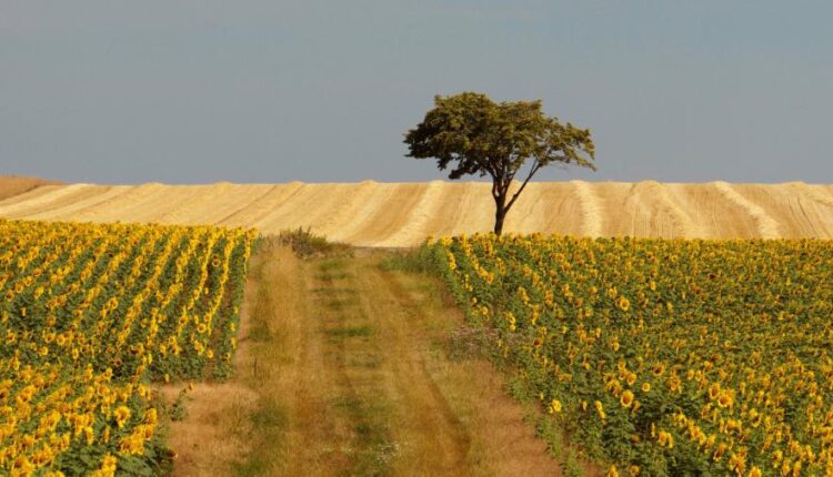 تصویر زمینه