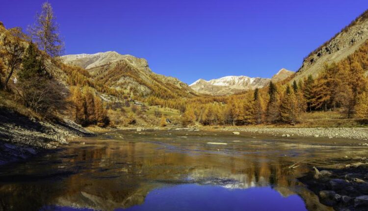 تصویر زمینه