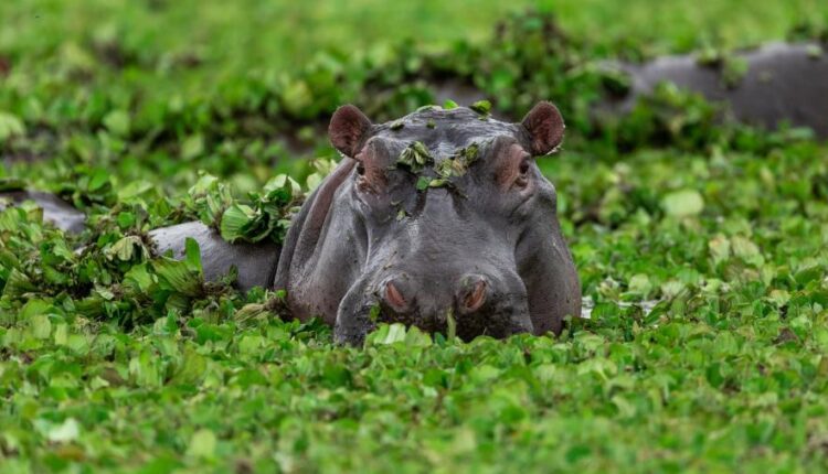 سری دوازدهم تصویر زمینه با کیفیت   Beautiful Mixed Wallpapers