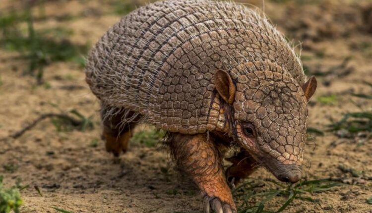 سری دوازدهم تصویر زمینه با کیفیت   Beautiful Mixed Wallpapers