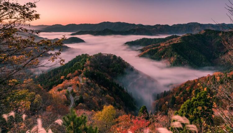 تصویر زمینه طبیعت