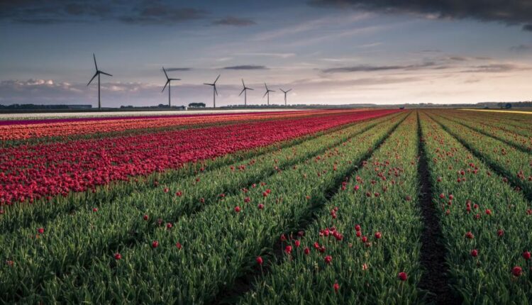 تصویر زمینه