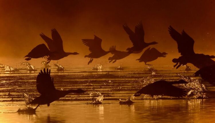 تصویر زمینه