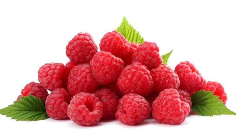 عکس استوک تمشک قرمز   Photo Raspberries With Blackberry