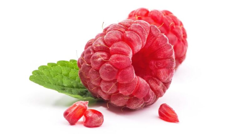 عکس استوک تمشک قرمز   Photo Raspberries With Blackberry