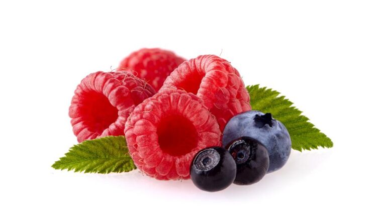 عکس استوک تمشک قرمز   Photo Raspberries With Blackberry