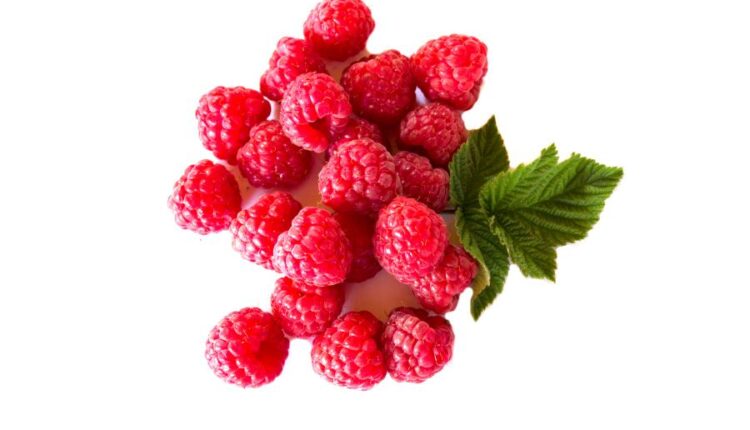 عکس استوک تمشک قرمز   Photo Raspberries With Blackberry