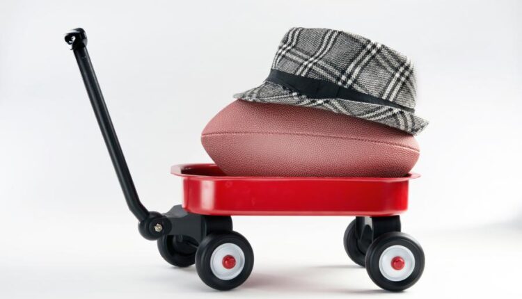 تصاویر استوک کلاه فرنگی   Photos Fedora 10 JPGs