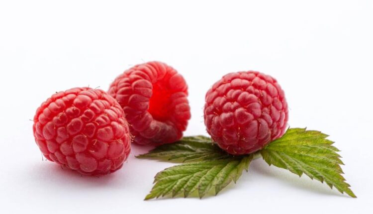 عکس استوک تمشک قرمز   Photo Raspberries With Blackberry