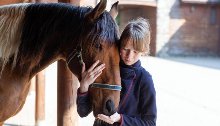 دانلود عکس استوک اسب   Photo Horse 9xJPGs