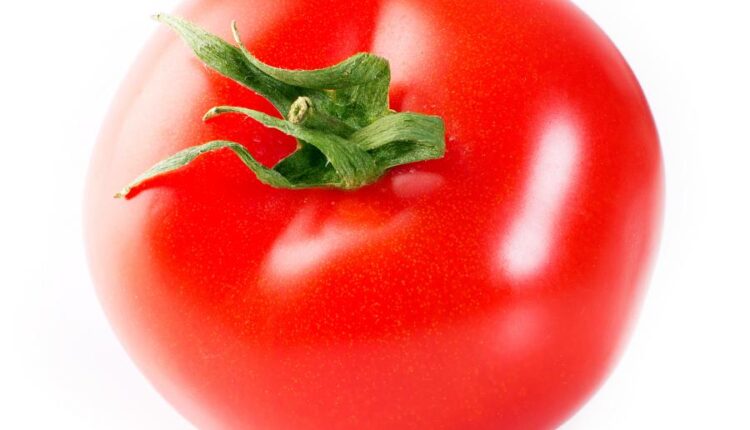 عکس استوک گوجه فرنگی   Photo Fresh Tomato Isolated 7xJPGs