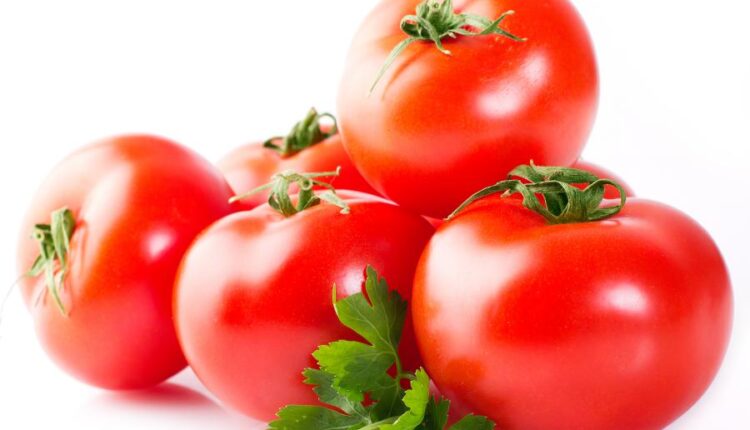 عکس استوک گوجه فرنگی   Photo Fresh Tomato Isolated 7xJPGs