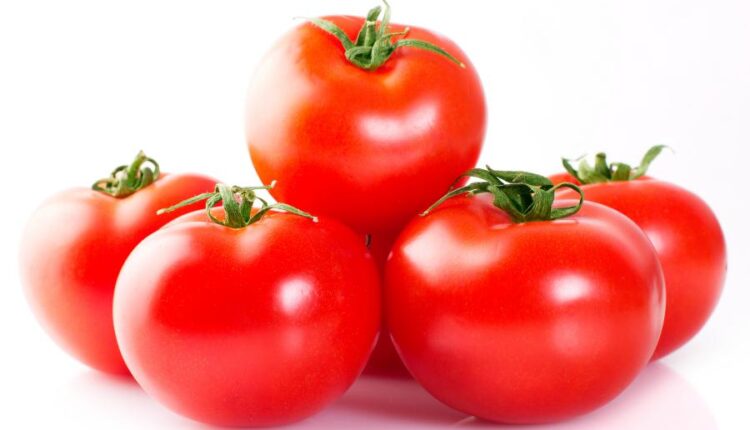 عکس استوک گوجه فرنگی   Photo Fresh Tomato Isolated 7xJPGs