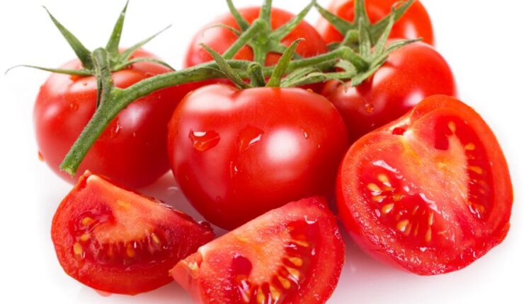 عکس استوک گوجه فرنگی   Photo Fresh Tomato Isolated 7xJPGs