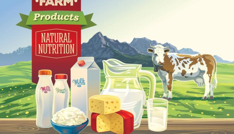 وکتور مزرعه و لبنیات و گاو