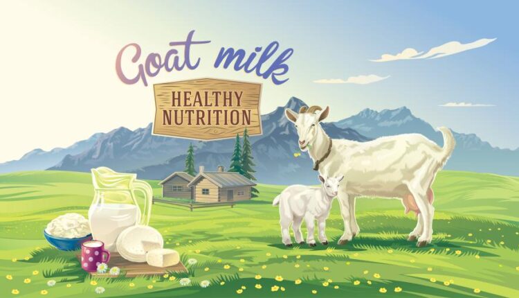 وکتور مزرعه و لبنیات