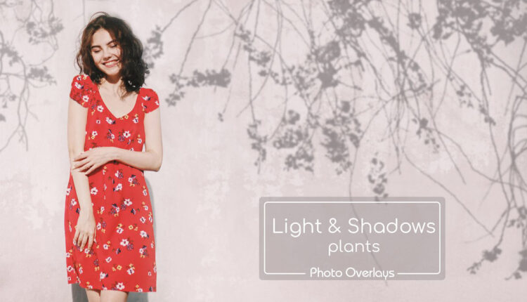 تصاویر پی ان جی سایه های درخت و گیاه   Plant Shadows Overlays