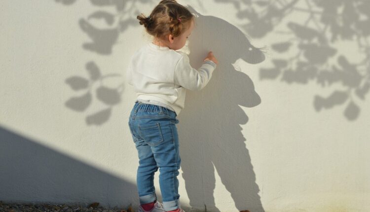 تصاویر پی ان جی سایه های درخت و گیاه   Plant Shadows Overlays