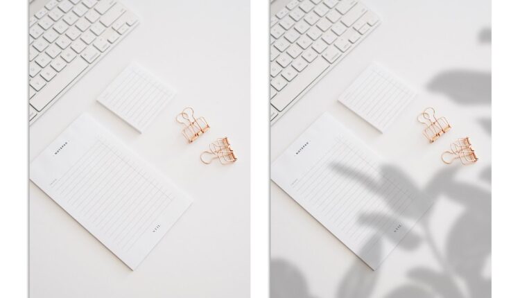 تصاویر پی ان جی سایه های درخت و گیاه   Plant Shadows Overlays