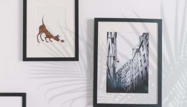 تصاویر پی ان جی سایه های درخت و گیاه   Plant Shadows Overlays