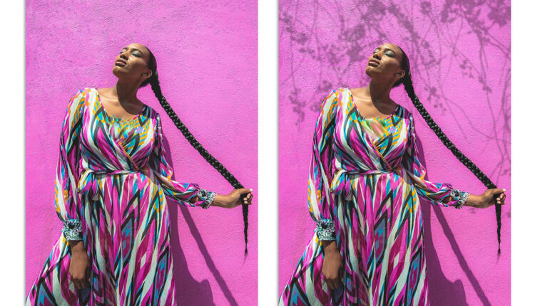 تصاویر پی ان جی سایه های درخت و گیاه   Plant Shadows Overlays