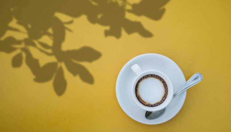 تصاویر پی ان جی سایه های درخت و گیاه   Plant Shadows Overlays