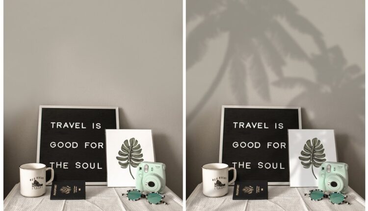 تصاویر پی ان جی سایه های درخت و گیاه   Plant Shadows Overlays