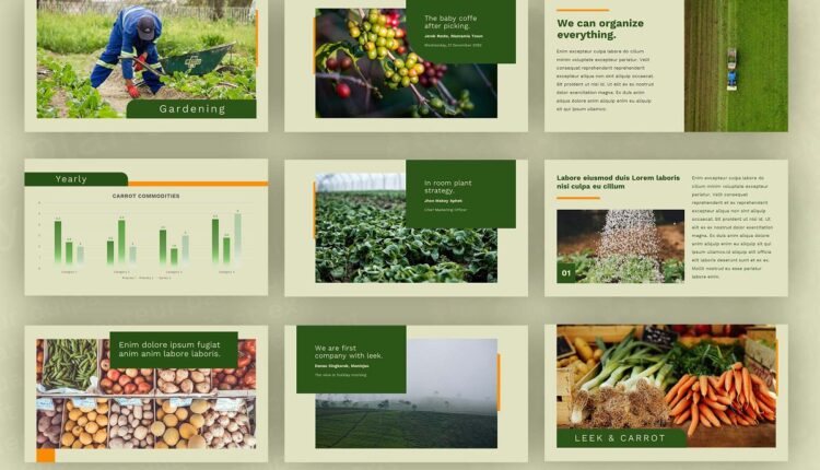 قالب آماده اسلاید پاورپوینت کشاورزی    Plantation Powerpoint