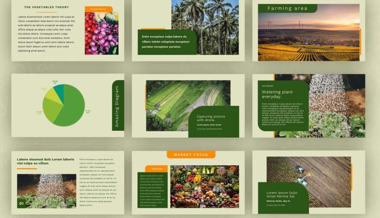 قالب آماده اسلاید پاورپوینت کشاورزی    Plantation Powerpoint