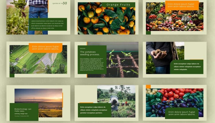 قالب آماده اسلاید پاورپوینت کشاورزی    Plantation Powerpoint