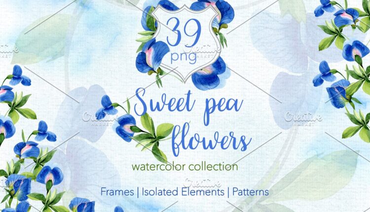 تصاویر PNG شکوفه های آبرنگی   Flowers Watercolor PNG