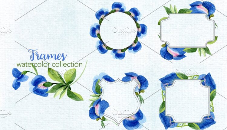 تصاویر PNG شکوفه های آبرنگی   Flowers Watercolor PNG