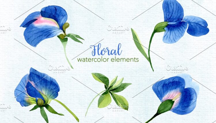 تصاویر PNG شکوفه های آبرنگی   Flowers Watercolor PNG
