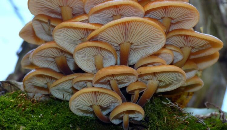 تصویر زمینه زیبا