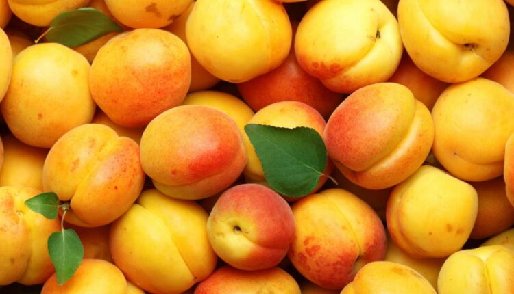 تصویر زمینه میوه