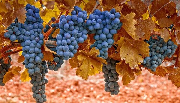 تصویر زمینه 4K