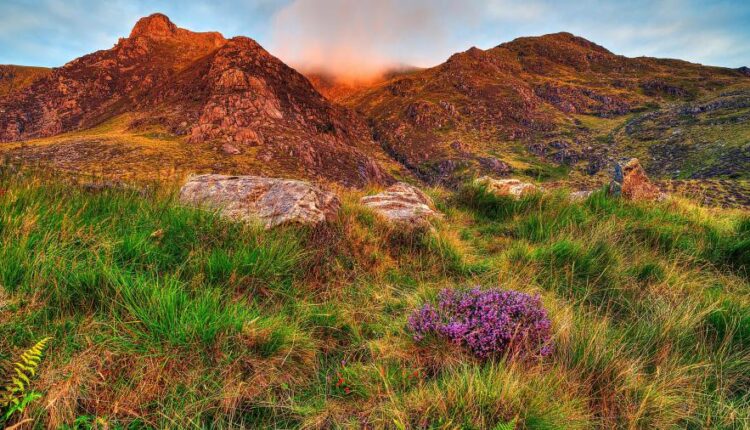 بک گراند موبایل hd