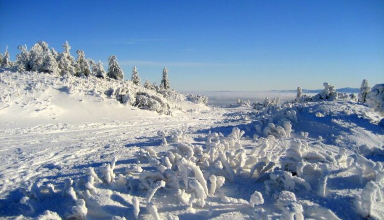 تصویر زمینه زمستان